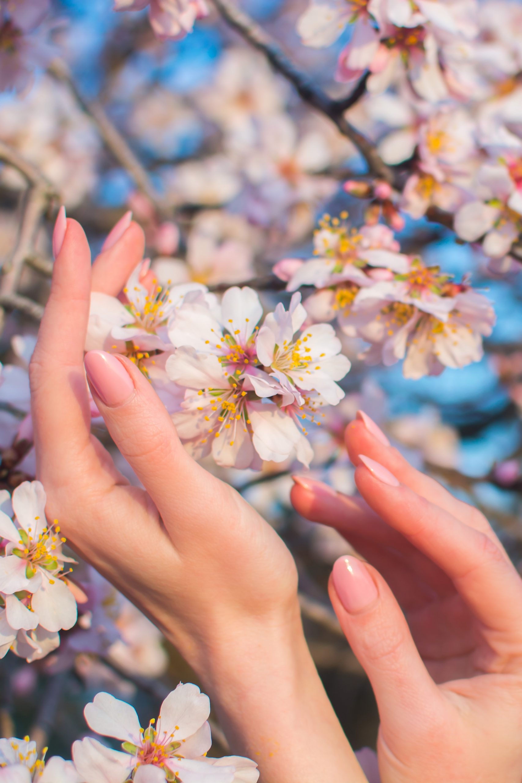 Luxury manicure at nail salon